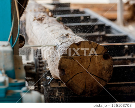 Modern sawmill. Industry sawing boards from logs 136108708