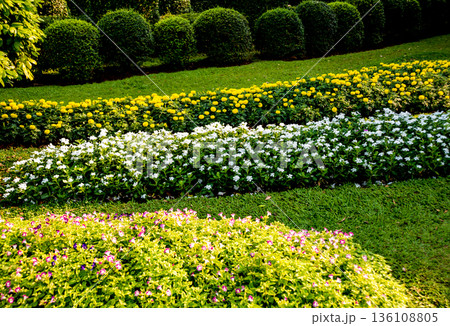 Luxury landscape design of the tropical garden.  136108805