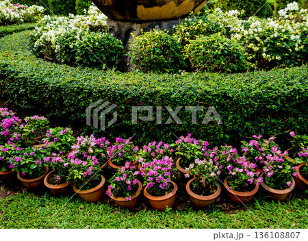 Luxury landscape design of the tropical garden. Luxury landscape design of the tropical garden. 136108807