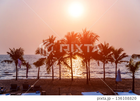 Beautiful tropical beach with palm trees. Sunrises and sunsets. Ocean. 136108820