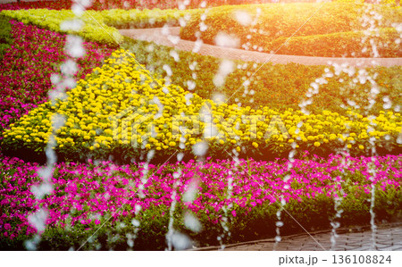 Luxury landscape design of the tropical garden. Luxury landscape design of the tropical garden. 136108824