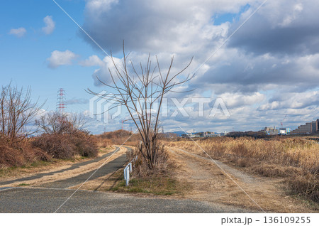 淀川右岸高槻市河川敷の遊歩道 淀川右岸高槻市河川敷の遊歩道 136109255