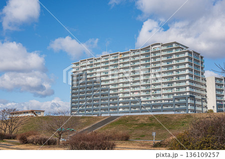 淀川河川敷から見上げるマンション　大阪府高槻市 136109257