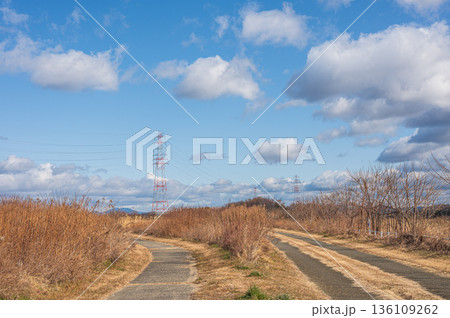淀川右岸高槻市河川敷の遊歩道 136109262