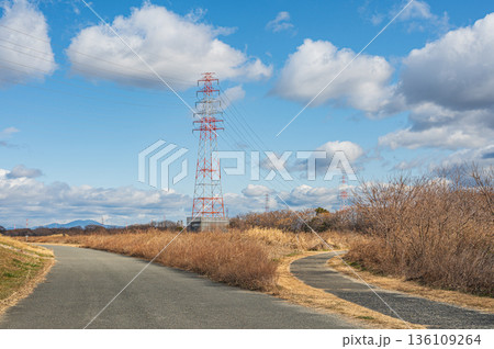 淀川右岸高槻市河川敷の遊歩道 136109264