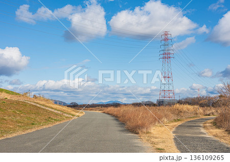淀川右岸高槻市河川敷の遊歩道 136109265