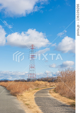 淀川右岸高槻市河川敷の遊歩道 136109266