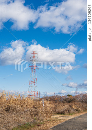 淀川右岸高槻市河川敷に立つ送電線鉄塔 136109268