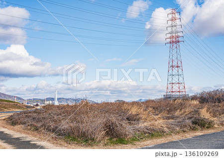 淀川右岸高槻市河川敷に立つ送電線鉄塔 136109269