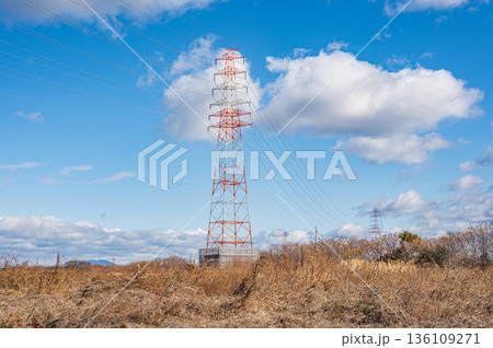 淀川右岸高槻市河川敷に立つ送電線鉄塔 136109271