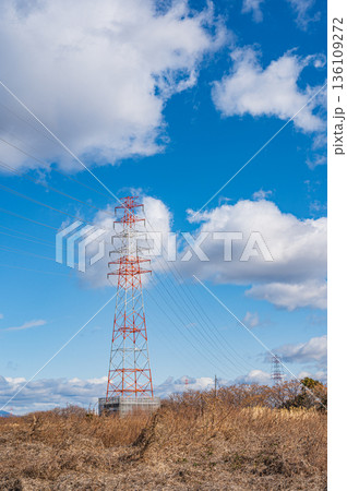 淀川右岸高槻市河川敷に立つ送電線鉄塔 136109272