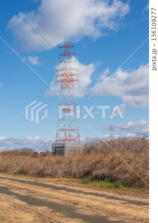 淀川右岸高槻市河川敷に立つ送電線鉄塔 136109277