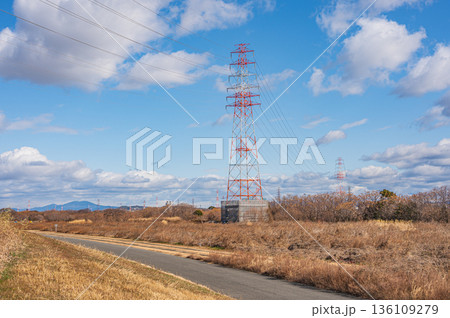 淀川右岸高槻市河川敷に立つ送電線鉄塔 136109279