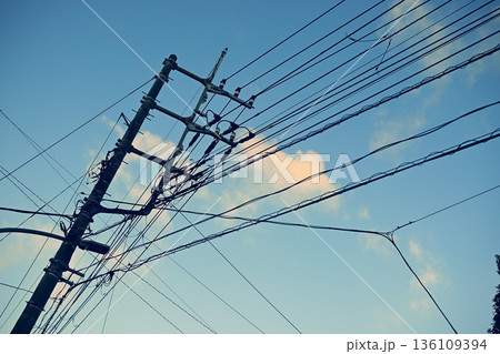 青空と電柱　電信柱 136109394