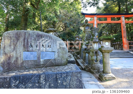 世界遺産 春日大社参道 二之鳥居 世界遺産 春日大社参道 二之鳥居 136109460