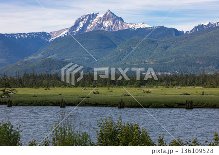 Beautiful view of the Canadian Mountain Landscape on the West Pacific Coast. Squamish, BC, Canada. 136109528