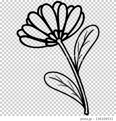 Line art floral elements. Outline foliage natural leaves herbs. Set hand drawn flower botanical. Line art floral elements. Outline foliage natural leaves herbs. Set hand drawn flower botanical. 136109531