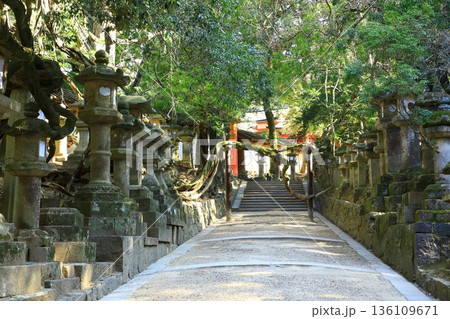 世界遺産　春日大社　剣先道 136109671