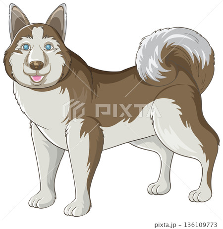 Siberian Husky Dog Vector Illustration Standing on White Background 136109773