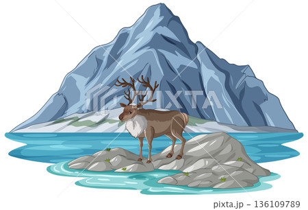 Reindeer Standing on Rocks in Front of a Large Blue Mountain 136109789