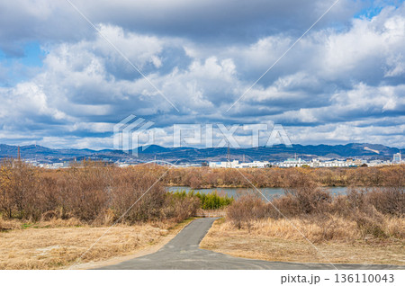 冬の淀川河川敷風景 大阪府枚方市 冬の淀川河川敷風景 大阪府枚方市 136110043