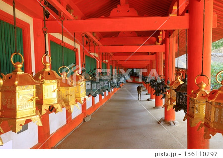 世界遺産 春日大社 東回廊 世界遺産 春日大社 東回廊 136110297