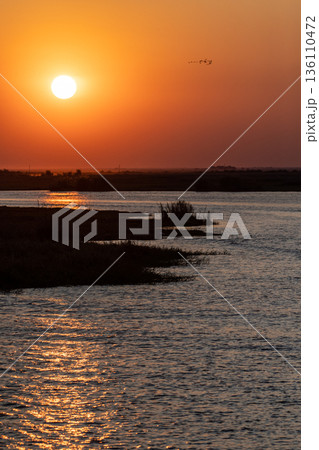 Sunset over the chobe river 136110472