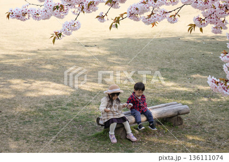 ベンチに座る女の子と男の子 136111074