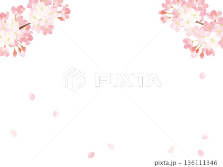 桜　水彩背景イラスト　 136111346