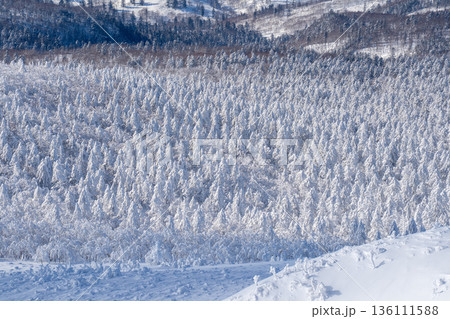 藻琴山から望む一面の樹氷と雪に覆われた壮大な冬山風景 藻琴山から望む一面の樹氷と雪に覆われた壮大な冬山風景 136111588
