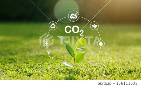 Tree for co2, ESG and net zero. energy saving concept. save our planet, world environment day, world earth day. sustainable development and green business. Tree for co2, ESG and net zero. energy saving concept. save our planet, world environment day, world earth day. sustainable development and green business. 136111635
