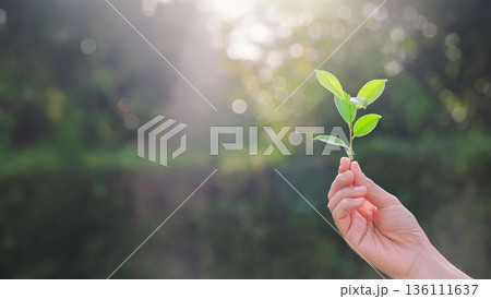 CO2 or carbon concept with icons on green background. co2 emission using clean energy and limit global warming. renewable energy, planting tree. world earth day. 136111637