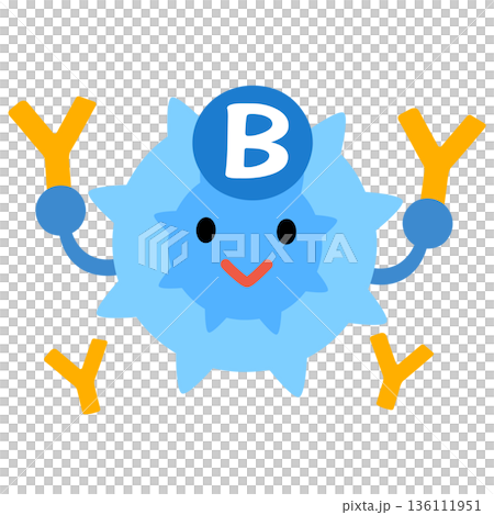 B細胞　キャラクター 136111951