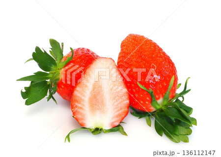 採れたてのイチゴ（やよいひめ） 136112147