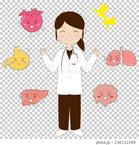 健康な臓器キャラクターと白衣の女性 健康な臓器キャラクターと白衣の女性 136112289