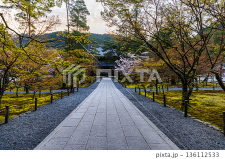 京都府南禅寺 桜のある風景 136112533