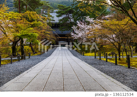 京都府南禅寺 桜のある風景 京都府南禅寺 桜のある風景 136112534