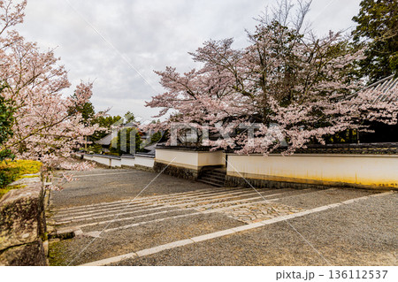 京都府南禅寺 桜のある風景 京都府南禅寺 桜のある風景 136112537