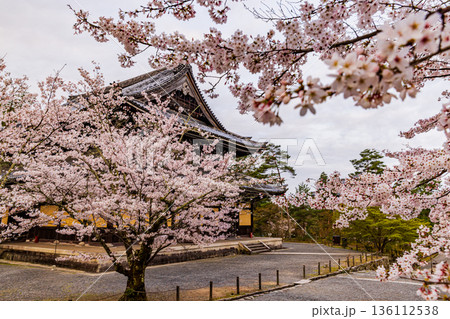 京都府南禅寺 桜のある風景 京都府南禅寺 桜のある風景 136112538