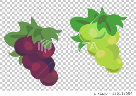 Simple illustration of two types of grapes Simple illustration of two types of grapes 136112594
