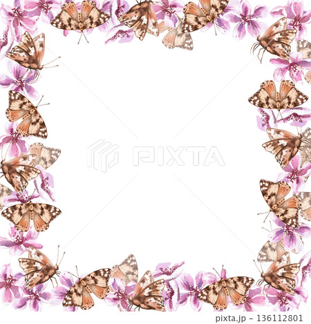 A square frame with butterflies and pink flowers. Isolated watercolor illustration for invitations, product packaging, interior design, and poster printing. A square frame with butterflies and pink flowers. Isolated watercolor illustration for invitations, product packaging, interior design, and poster printing. 136112801