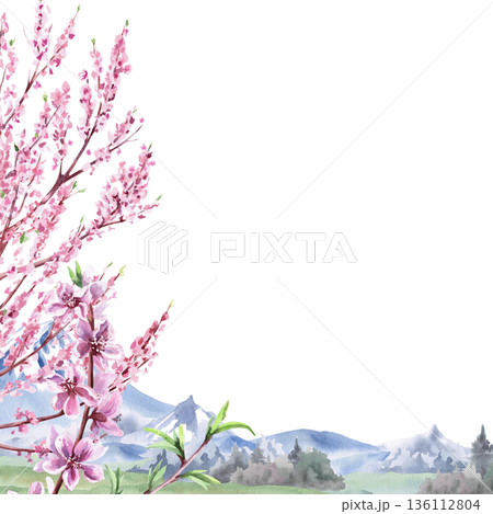 A square frame with blooming peach trees against a backdrop of meadows and mountains. Isolated watercolor illustration for tableware, invitations, product packaging, and interior design. A square frame with blooming peach trees against a backdrop of meadows and mountains. Isolated watercolor illustration for tableware, invitations, product packaging, and interior design. 136112804