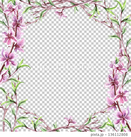 A square frame with blooming peach branches and young leaf shoots. Isolated watercolor illustration of a spring theme for tableware, invitations, product packaging, and interior design. 136112808