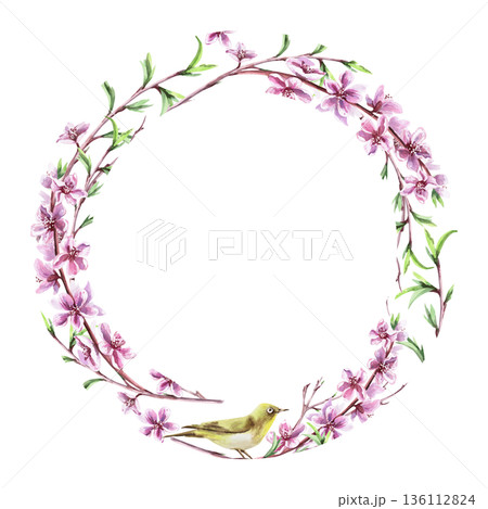 A round frame with blooming peach branches and a small bird. Isolated watercolor illustration of a spring theme for tableware, invitations, product packaging, and interior design. 136112824