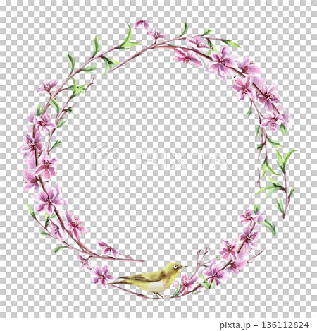 A round frame with blooming peach branches and a small bird. Isolated watercolor illustration of a spring theme for tableware, invitations, product packaging, and interior design. 136112824