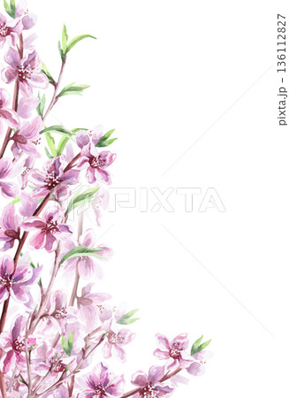 A vertical rectangular frame with blooming peach branches and young leaves. Isolated watercolor illustration for postcards, invitations, interior design, and packaging printing. A vertical rectangular frame with blooming peach branches and young leaves. Isolated watercolor illustration for postcards, invitations, interior design, and packaging printing. 136112827
