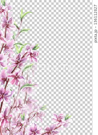 A vertical rectangular frame with blooming peach branches and young leaves. Isolated watercolor illustration for postcards, invitations, interior design, and packaging printing. A vertical rectangular frame with blooming peach branches and young leaves. Isolated watercolor illustration for postcards, invitations, interior design, and packaging printing. 136112827