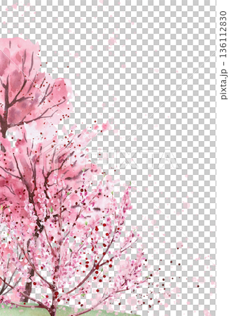 A vertical rectangular frame with flowering trees. Isolated watercolor illustration for postcards, invitations, interior design, and packaging printing. 136112830