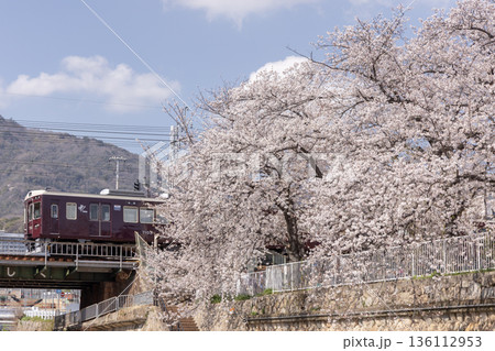 神戸 都賀川公園 桜と阪急電車 神戸 都賀川公園 桜と阪急電車 136112953