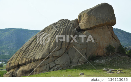 モンゴル テレルジ国立公園の亀石 タートルロック 136113086